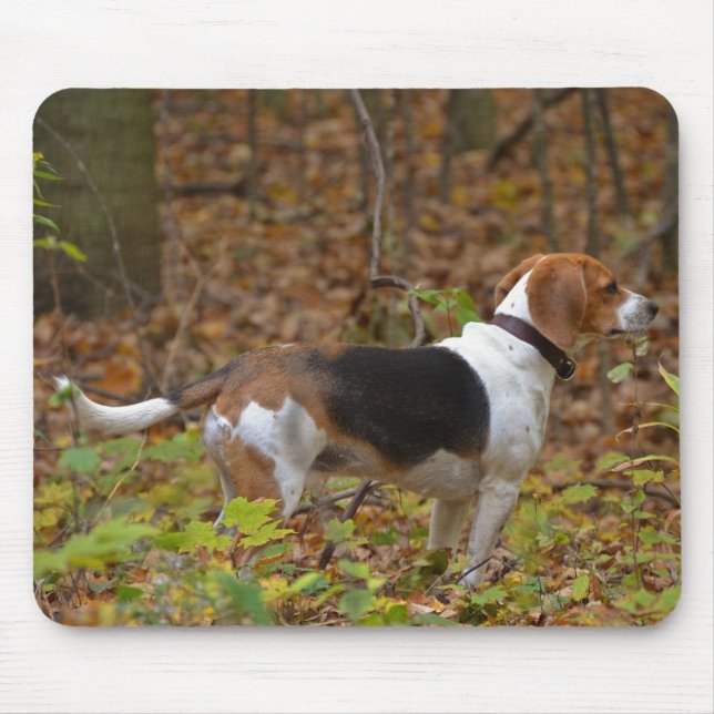 Beagle in Woods Mouse Pad (Front)