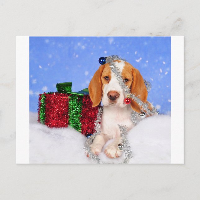 Beagle Jingle Holiday Postcard (Front)