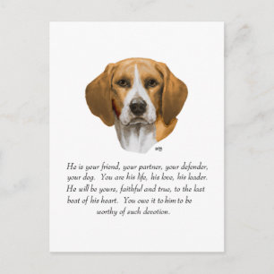 Beagle Keepsake MALE Postcard