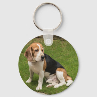 Beagle Keychain