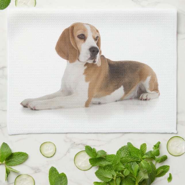 Beagle Kitchen Towel (Folded)
