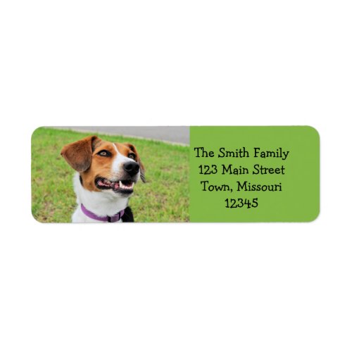 Beagle Label