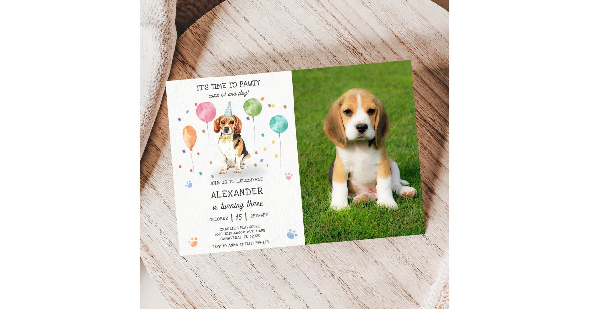 Beagle Lets Pawty Dog Puppy Birthday Blue Photo Invitation | Zazzle