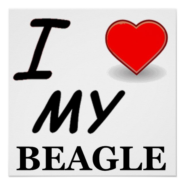 beagle love poster (Front)