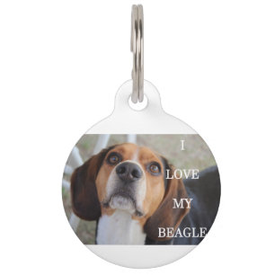 beagle love w pic black red white pet name tag