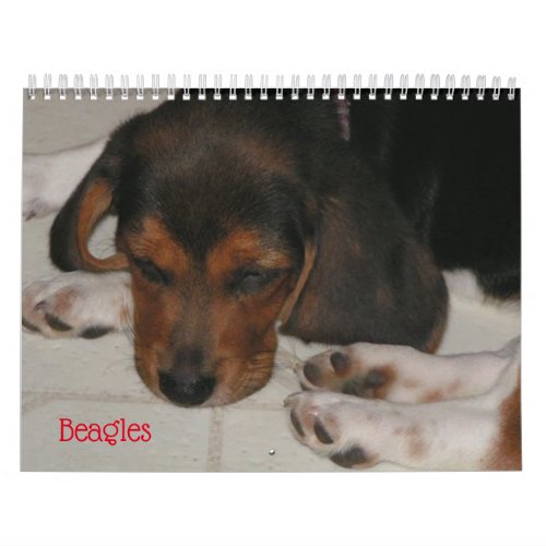 Beagle Lover Calendar