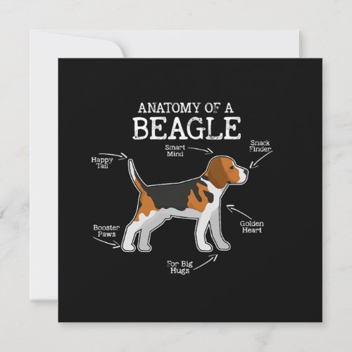 Beagle Lovers Anatomy Of A Beagle  