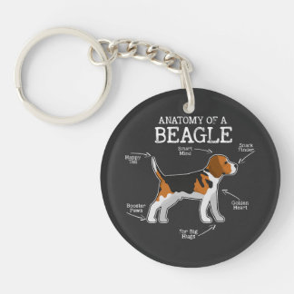 Beagle Lovers/ Anatomy Of A Beagle Keychain