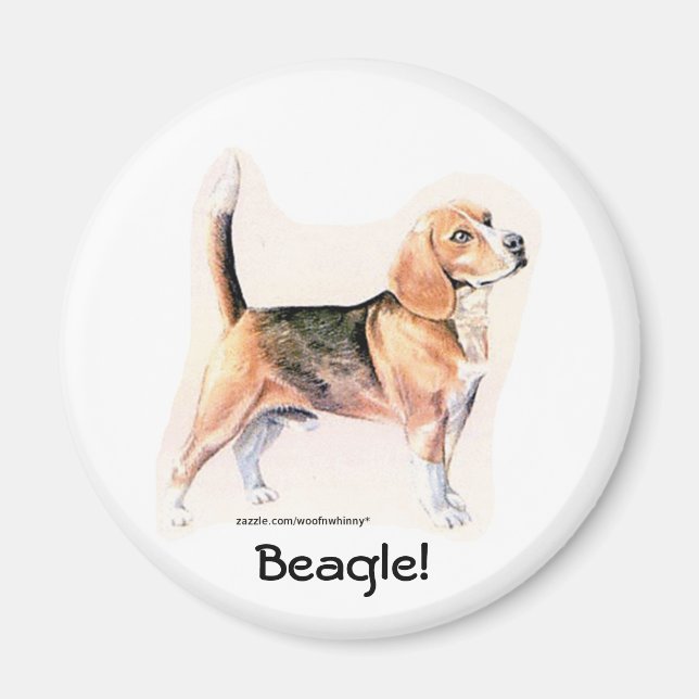Beagle Magnet (Front)