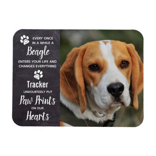 Beagle Memorial Magnet