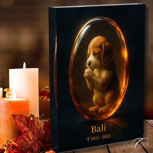 Beagle Memorial  Photo Block (Creator Uploaded)