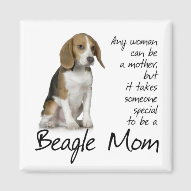 beagle mum