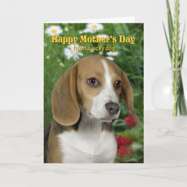 Beagle Mother's Day Card (Front)