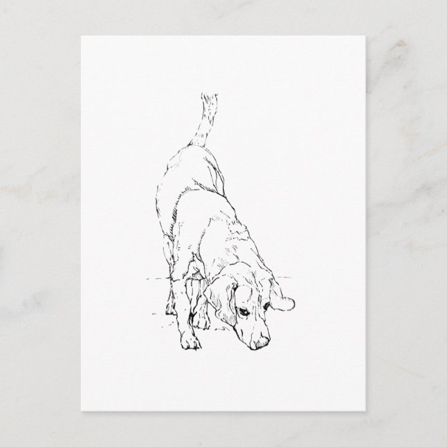 Beagle Mug – Hand Drawn Ink Dog  Postcard (Front)