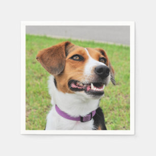 Beagle Napkins