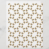 Beagle Network (Front/Back)