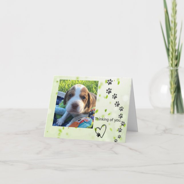 Beagle note card (blank inside) (Front)