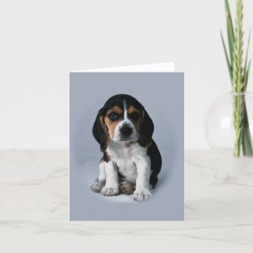 Beagle Note cards