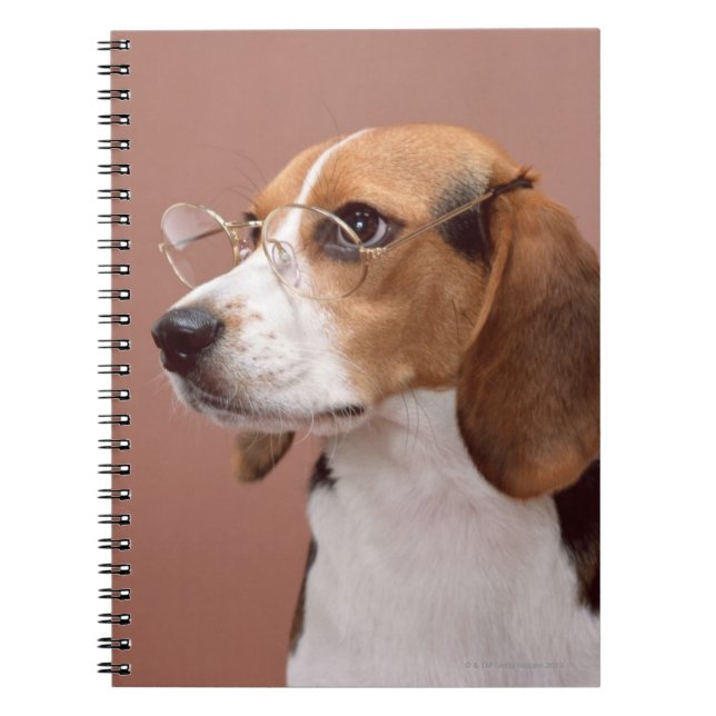 Beagle Notebook (Front)