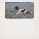 Beagle on beach.png (Front & Back)