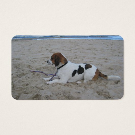 Beagle on beach.png (Front)