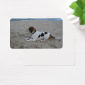 Beagle on beach.png (Desk)