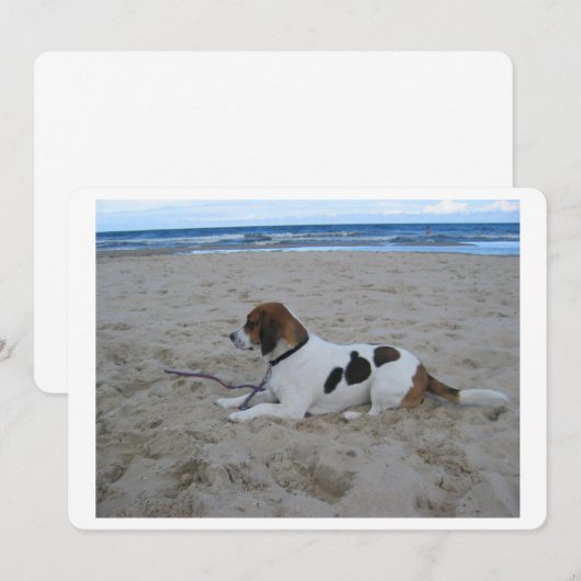 Beagle on beach.png (Front/Back)