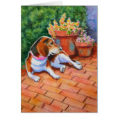 Beagle on Brick Patio (Front)