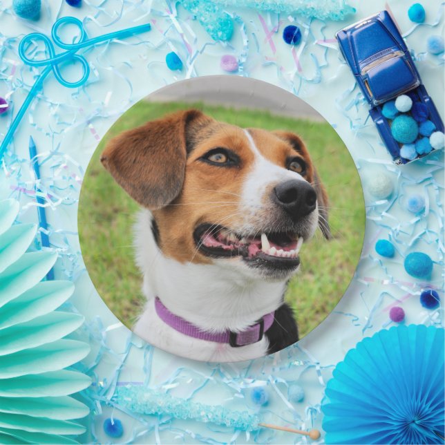 Beagle Paper Plates (Party)