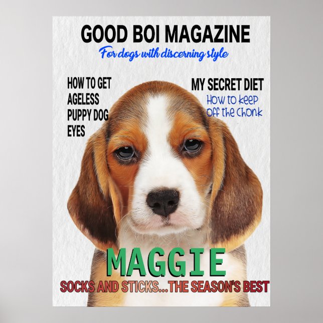 Beagle Parody Magazine Cover Poster (Front)