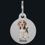 Beagle Personalize Pet ID Tag<br><div class="desc">Add your dog's name,  yours and a phone number,  in case he or she gets lost.</div>