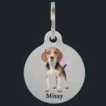 Beagle Personalize Pet ID Tag<br><div class="desc">Add your dog's name,  yours and a phone number,  in case he or she gets lost.</div>