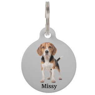 Beagle Personalize Pet ID Tag