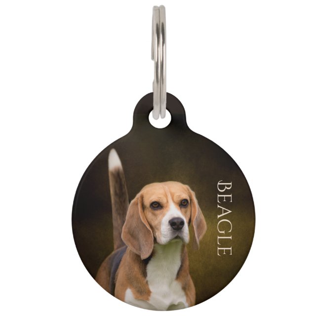 Beagle Pet ID Tag (Front)