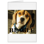 beagle pic w name (Front)