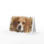 Beagle Pictures Greeting Card