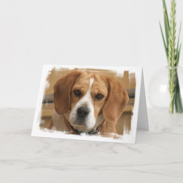 Beagle Pictures Greeting Card (Front)