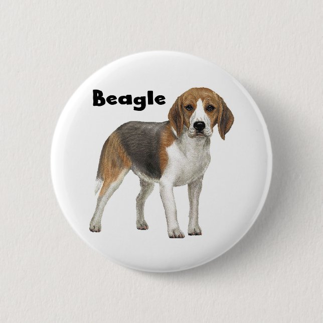 Beagle Pinback Button (Front)