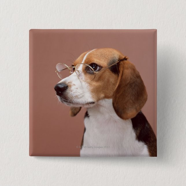 Beagle Pinback Button (Front)