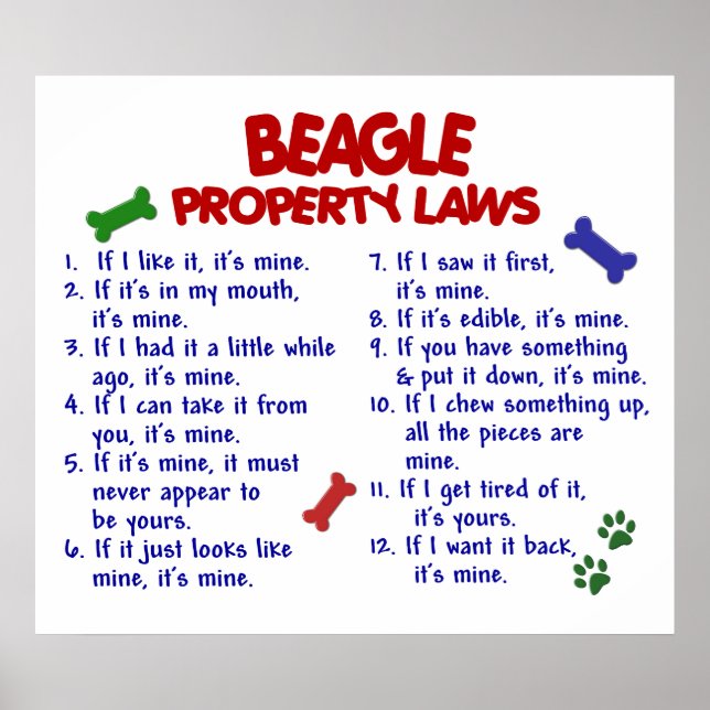 BEAGLE PL2 POSTER (Front)