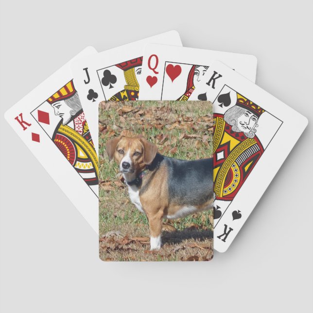 Beagle Poker Cards (Back)
