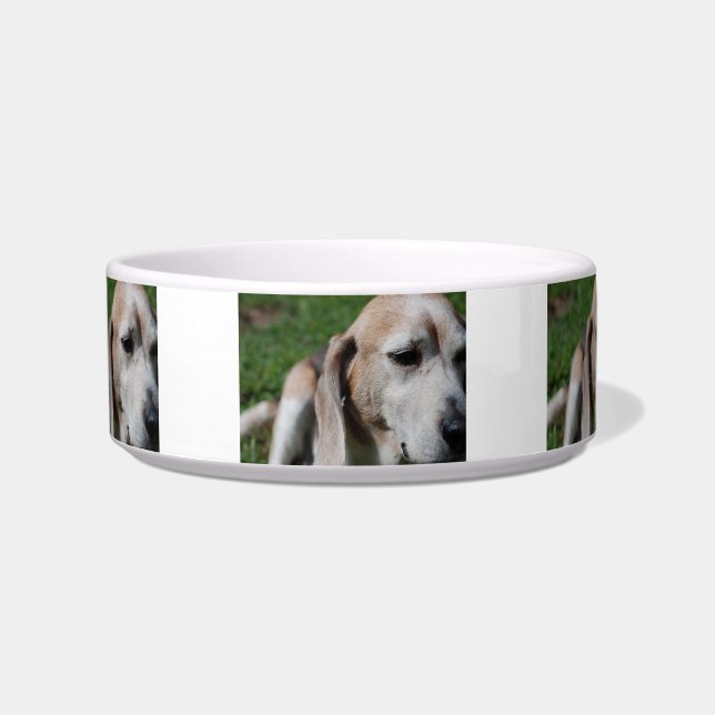 beagle portrait bowl (Front)