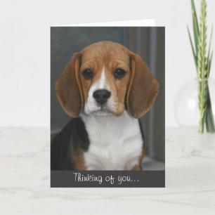 Beagle Portrait Card