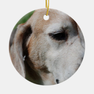 beagle portrait ceramic ornament