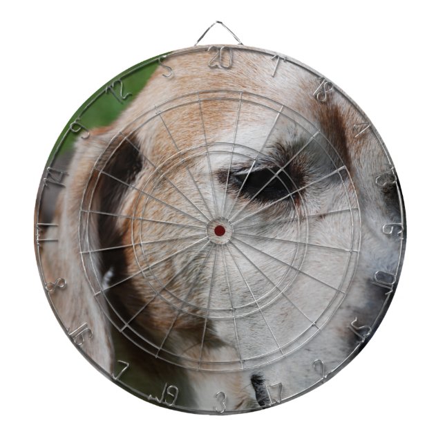 beagle portrait dart board (Front)