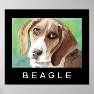 Beagle Posters