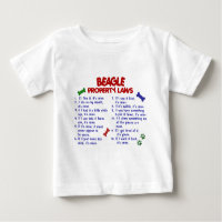 BEAGLE Property Laws 2