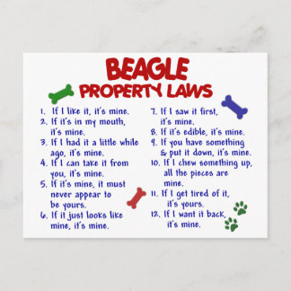 BEAGLE Property Laws 2 Postcard