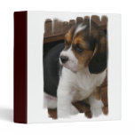 Beagle Pup Binder