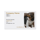 Beagle Pup Business Card